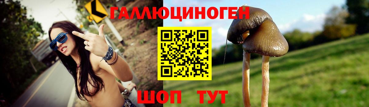 Галлюциногенные грибы GOLDEN TEACHER  Вход с VPN  Богданович  где продают   Псилоцибиновые грибы Psilocybe 